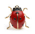 Red And Black Ladybug Brooch