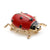 Black ladybug