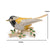 Oriole Bird Brooch