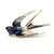 Gorgeous Swallow Enamel Brooch