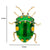 Green Beetle Brooch
