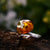Sterling Silver and Natural Amber Butterfly Ring