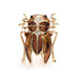 Heirloom-quality Beetle Brooch